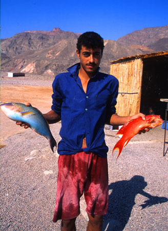 Fiskare med sin fångst från korallreven, Egypten.