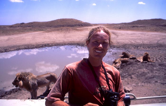 Jag tittar p lejon i Serengeti nationalpark.