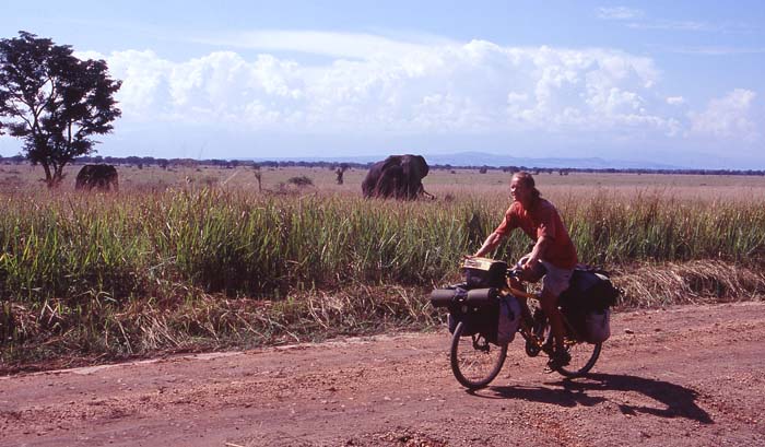 Jag cyklar frbi elefanter i Queen Elisabeths nationalpark, Uganda.