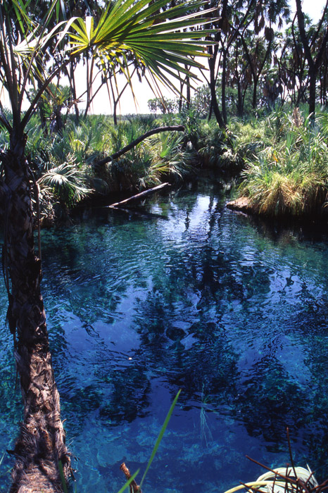 En hetklla med 43-gradigt vatten i Awash nationalpark.