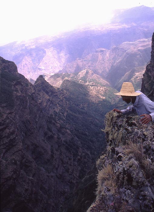 Stup i Siemen Mountains nationalpark.