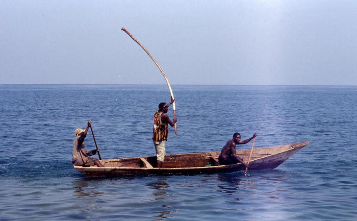 Tycooning. Fiskare skrämmer in fiskarna i nätet genom att slå på vattenytan. Burundi.