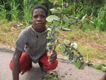 En pojke har hittat godis (larver) i bushen